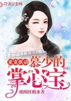 宠宠欲动:慕少的掌心宝