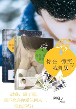 你在微笑，我却哭了1+2 封面