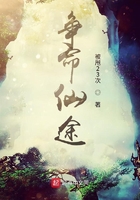 争命仙途在线阅读