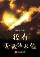我有無數(shù)法術(shù)位在線閱讀