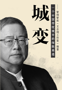 城變：一個(gè)中國(guó)傳統(tǒng)城市的細(xì)胞再造
