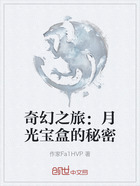 奇幻之旅：月光宝盒的秘密