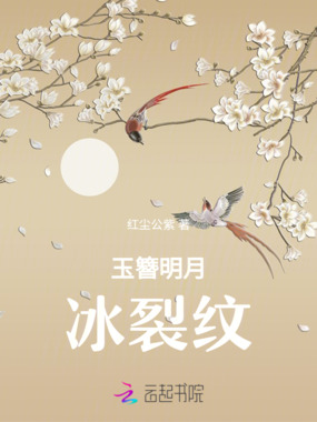 玉簪明月冰裂纹在线阅读