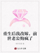 重生后我改嫁,前世老公悔疯了在线阅读