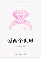 爱两个世界在线阅读