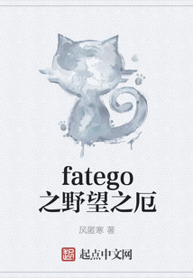 fatego之野望之厄
