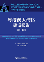 粤港澳大湾区建设报告（2018）在线阅读