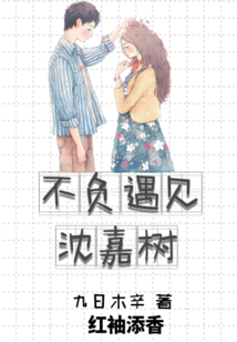 不負遇見沈嘉樹