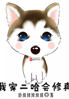 我家二哈会修真在线阅读