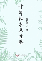 十年枯木又逢春在線閱讀