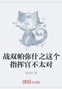 戰(zhàn)雙帕彌什之這個指揮官不太對