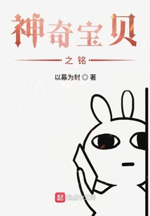 神奇宝贝之铭
