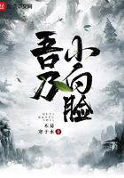 吾乃小白臉在線閱讀