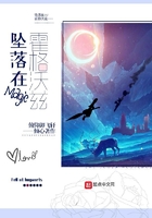 墜落在霍格沃茲在線閱讀