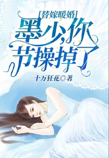 替嫁暖婚：墨少，你節(jié)操掉了