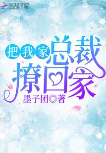 把我家總裁撩回家
