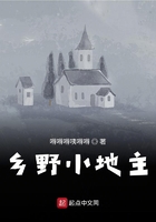 乡野小地主