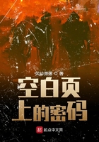 空白頁上的密碼在線閱讀