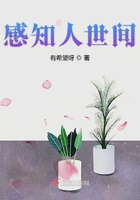 感知人世间在线阅读