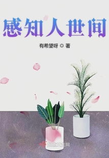 感知人世間