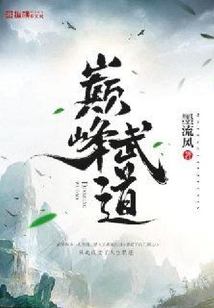 巔峰武道