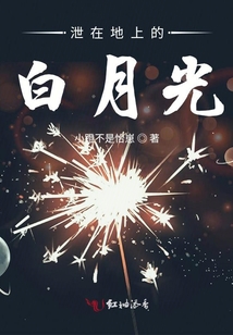 泄在地上的白月光