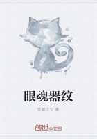 眼魂器纹在线阅读