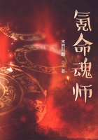氪命魂师在线阅读