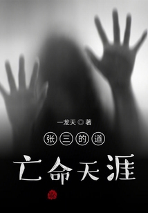張三的道，亡命天涯