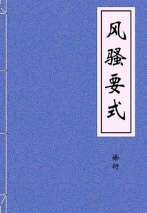 風(fēng)騷要式