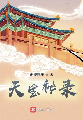 天宝秘录在线阅读