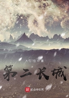 第二长城在线阅读