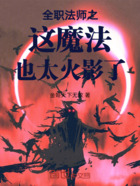全职法师:这魔法也太火影了在线阅读