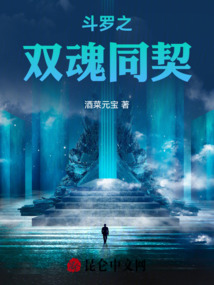 斗羅之雙魂同契