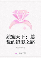 獨寵天下：總裁的追妻之路在線閱讀