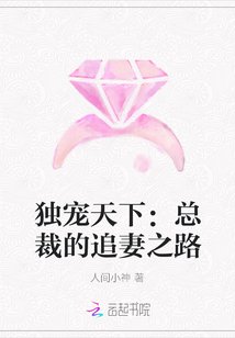 獨寵天下：總裁的追妻之路
