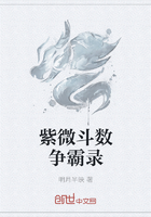 紫微斗数争霸录在线阅读