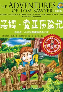 汤姆·索亚历险记