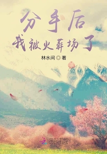 分手后我被火葬場了