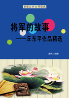 将军的故事：丘东平作品精选（感悟文学大师经典）在线阅读