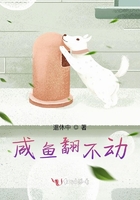 咸魚翻不動在線閱讀