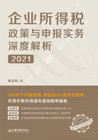 企业所得税政策与申报实务深度解析（2021）在线阅读