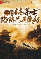 三国：纯谋士，陷阵只是爱好