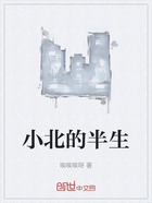 小北的半生在线阅读