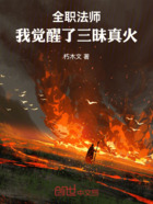 全职法师:我觉醒了三昧真火在线阅读