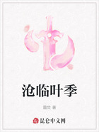 沧临叶季在线阅读