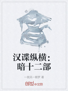 汉谍纵横:暗十二部在线阅读