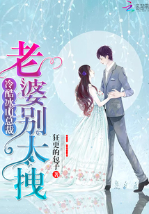 冷酷冰山總裁：老婆別太拽