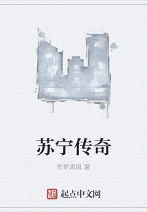 蘇寧傳奇