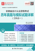 安徽省会计从业资格考试历年真题与模拟试题详解（三科合一）